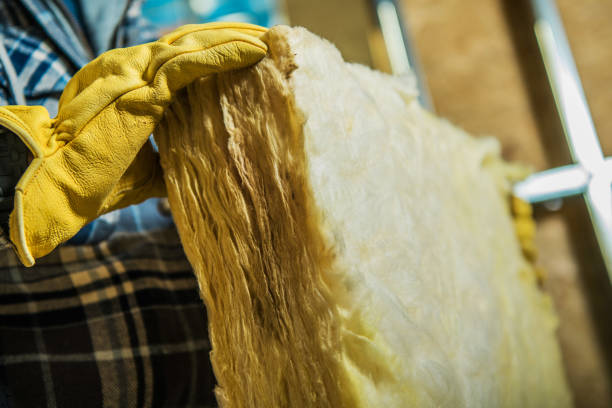 Best Insulation Installation Cost  in San Augustine, TX