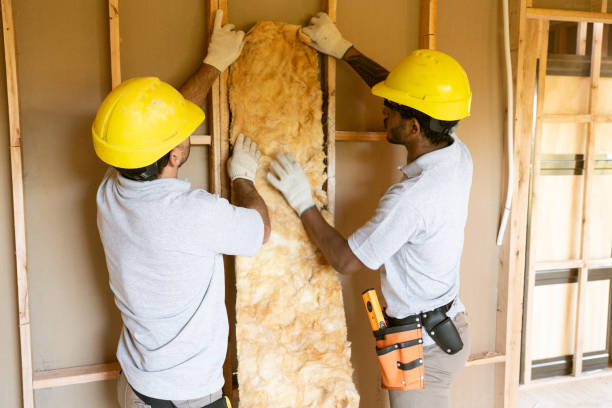 Best Insulation for New Construction  in San Augustine, TX