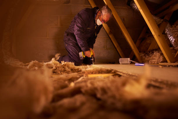 Best Insulation Contractors for Homes  in San Augustine, TX
